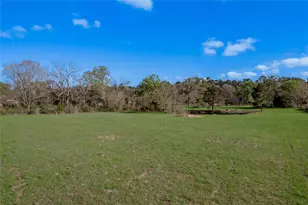 2155 W US Hwy 287, Groveton, TX 75845 - Photo 29