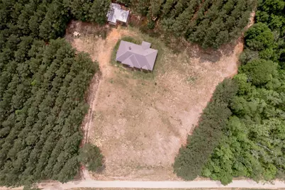 3134 Nursery Road, Livingston, TX 77351 - Photo 3