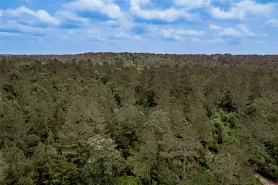 3134 Nursery Road, Livingston, TX 77351 - Photo 49