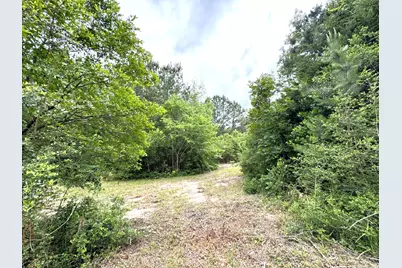 704 E Elder Street, Colmesneil, TX 75938 - Photo 11