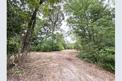 704 E Elder Street, Colmesneil, TX 75938 - Photo 9