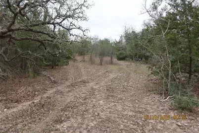 1028 Gun Rose Lane, Columbus, TX 78934 - Photo 5