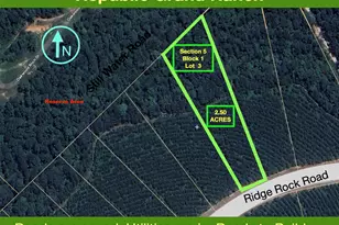 15745 Ridge Rock Rd, Willis, TX 77378 - Photo 1