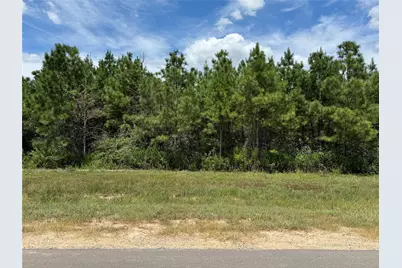 15745 Ridge Rock Road, Willis, TX 77378 - Photo 7