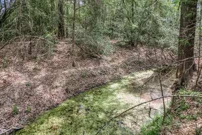 7157 Fm 1697 Tract 1, Carmine, TX 78932 - Photo 15