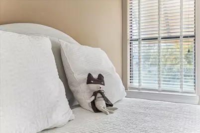 3515 Yupon Street, Houston, TX 77006 - Photo 31