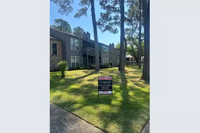 15435 Carmel Drive #40, Willis, TX 77318 - Photo 19