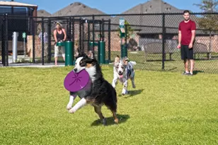 8635 Jetty Glen Dr, Cypress, TX 77433 - Photo 31