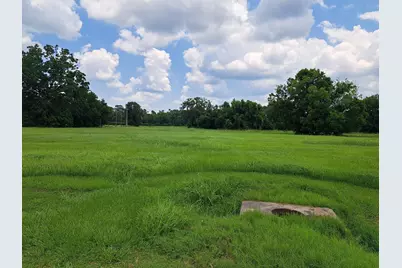101 Cattle Drive Trail, Angleton, TX 77515 - Photo 7