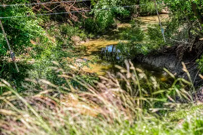 Tbd Fm 2621 Lane, Brenham, TX 77833 - Photo 15