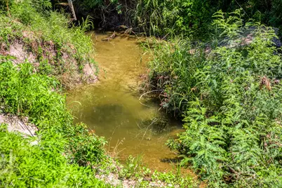 Tbd Fm 2621 Lane, Brenham, TX 77833 - Photo 3