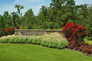 413 Meadows Peak Ln, Montgomery, TX 77316 - Photo 23