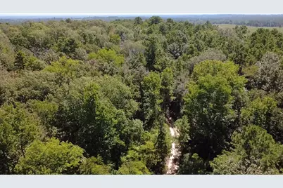 Tbd Mt Sinai Road E, Colmesneil, TX 75938 - Photo 5