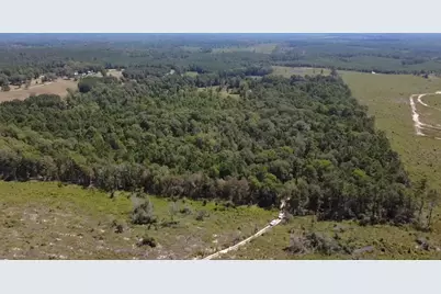 Tbd Mt Sinai Road E, Colmesneil, TX 75938 - Photo 9