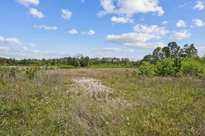 0 Farm To Market Road 1314, Porter, TX 77365 - Photo 5