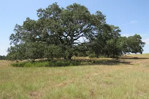 7863 FM 332 Rd, Brenham, TX 77833 - Photo 1