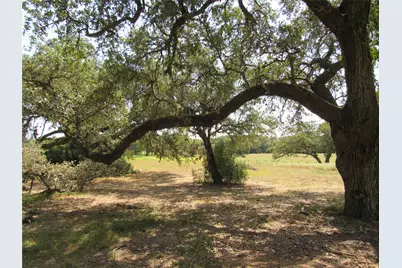 7863 Fm 332 Road, Brenham, TX 77833 - Photo 19