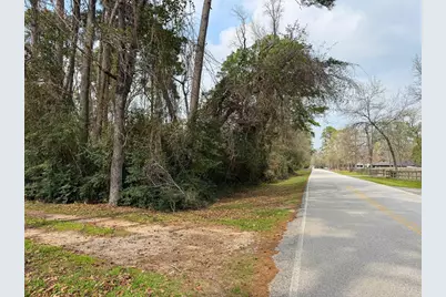 30227 E Geneva Dr, Spring, TX 77386 - Photo 7