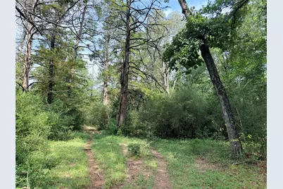 45Ac Cr 223, Buffalo, TX 75831 - Photo 7