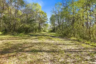 00 Redbud Dr, Conroe, TX 77302 - Photo 9