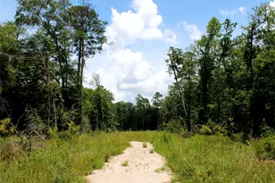12425 Picos Rd, Saratoga, TX 77585 - Photo 1
