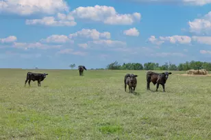 2232 Fm 975, Caldwell, TX 77836 - Photo 35