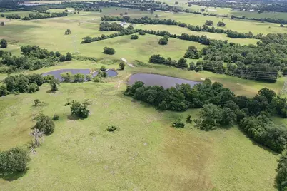 4442 Poteet Road, Normangee, TX 77871 - Photo 9