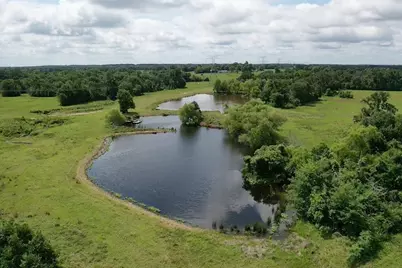 4442 Poteet Road, Normangee, TX 77871 - Photo 19