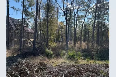 10181 Ehlers Road, Conroe, TX 77302 - Photo 9