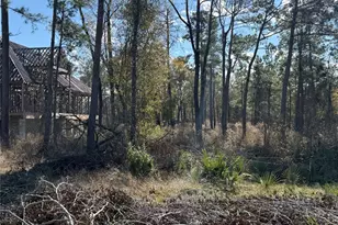 10181 Ehlers Rd, Conroe, TX 77302 - Photo 9