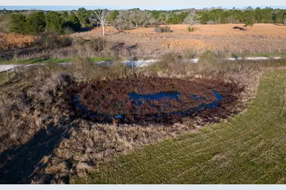 Tbd Dickey Loop, Huntsville, TX 77320 - Photo 3