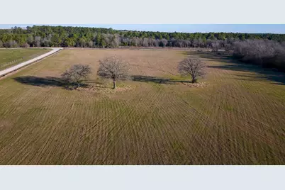 Tbd Dickey Loop, Huntsville, TX 77320 - Photo 11