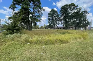 7927 Fm 1960 Road E, Humble, TX 77346 - Photo 13