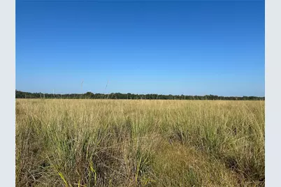 Lot 64 Minnie West Rd Drive, Hull, TX 77564 - Photo 3