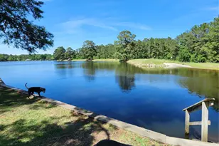 13279 Southshore Dr, Conroe, TX 77304 - Photo 27