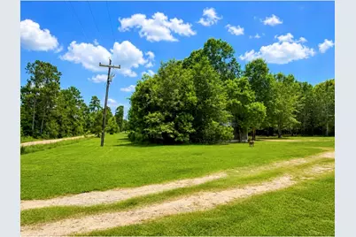 476 Camp Branch Road, Trinity, TX 75862 - Photo 3