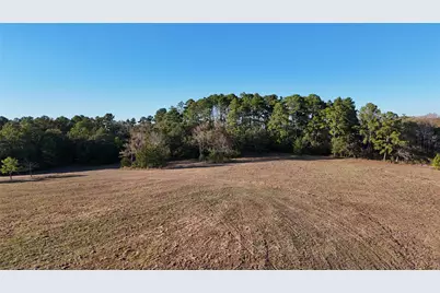 Tbd Townley Ranch Road, Huntsville, TX 77320 - Photo 13