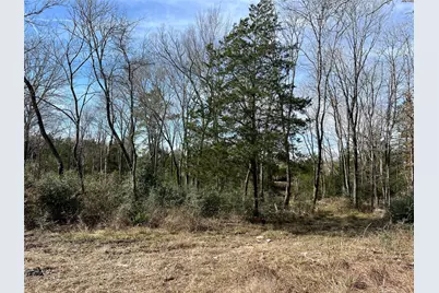 Tbd Townley Ranch Road, Huntsville, TX 77320 - Photo 25