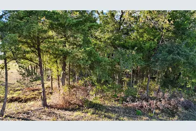 Tbd Townley Ranch Road, Huntsville, TX 77320 - Photo 19