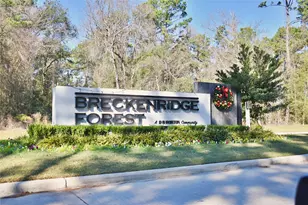 5439 Creekstone Rise Ln, Spring, TX 77373 - Photo 37