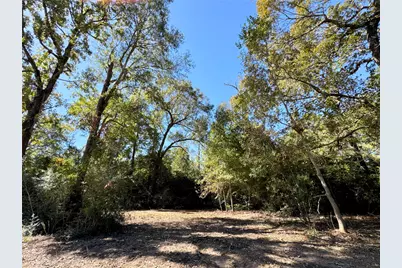 9572 State Highway 146 S, Livingston, TX 77351 - Photo 3