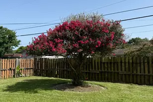 427 22nd Ave N, Texas City, TX 77590 - Photo 29