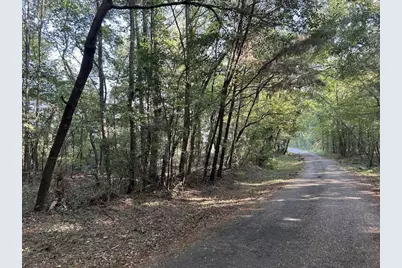 1229 Spraglin Road, Pittsburg, TX 75686 - Photo 1