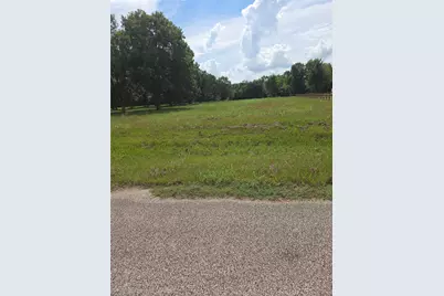 16834 Wrangler Road, Rosharon, TX 77583 - Photo 1