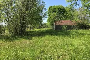 8002 County Rd 172, Alvin, TX 77511 - Photo 9