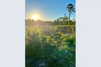 000 Highway 59 North Lane, Moscow, TX 75960 - Photo 9