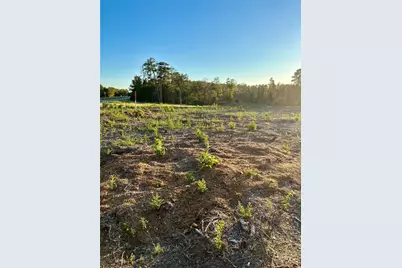 000 Highway 59 North Lane, Moscow, TX 75960 - Photo 7