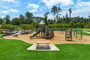 20 Courageous Side Way, Magnolia, TX 77354 - Photo 41