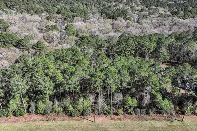 76 Wagon Pass, Huntsville, TX 77340 - Photo 17