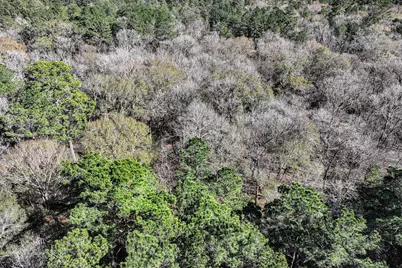 76 Wagon Pass, Huntsville, TX 77340 - Photo 13